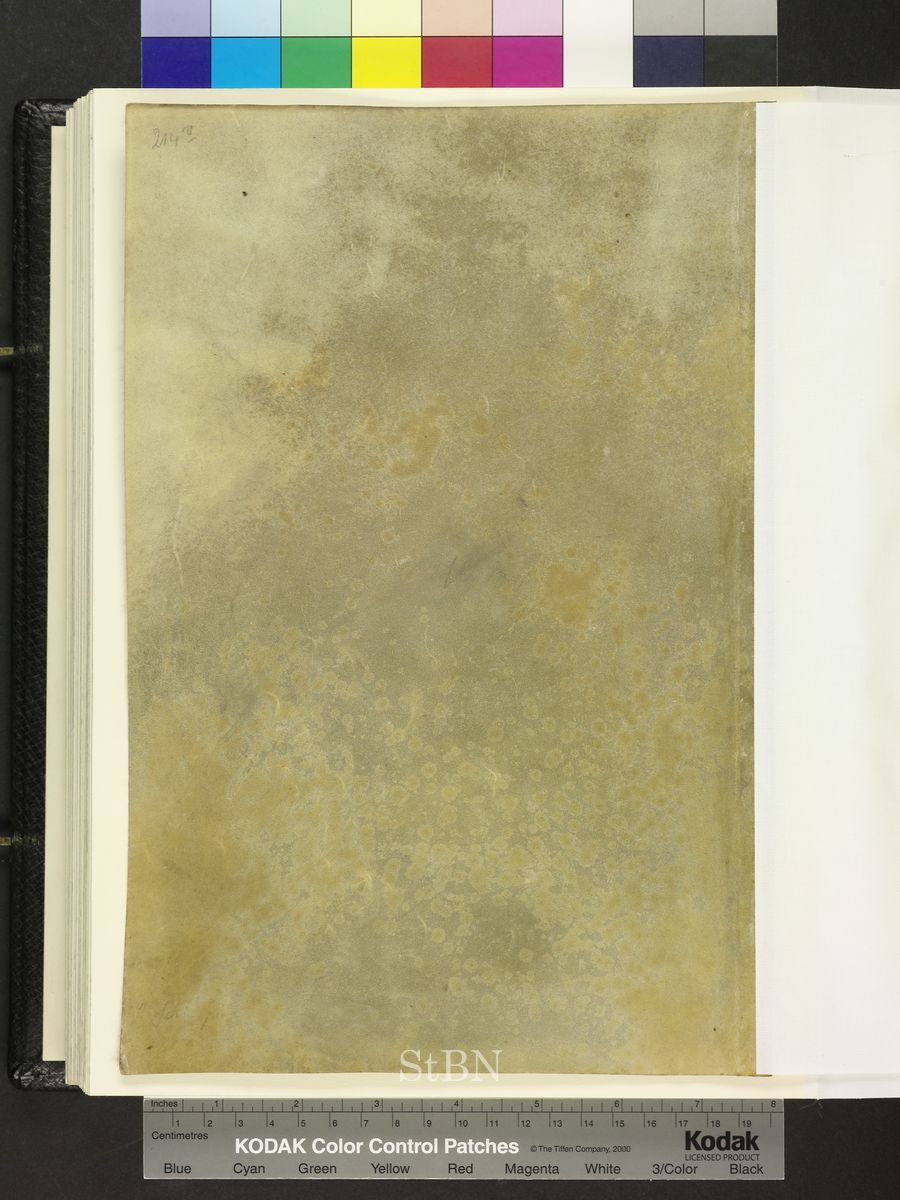 Amb. 317b.2° Folio 214 verso