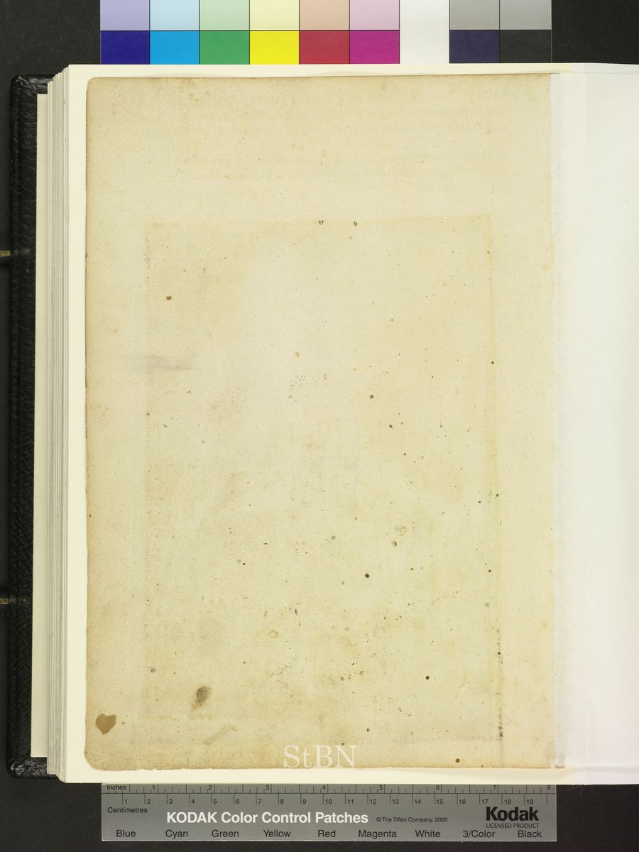 Amb. 317b.2° Folio 219 verso