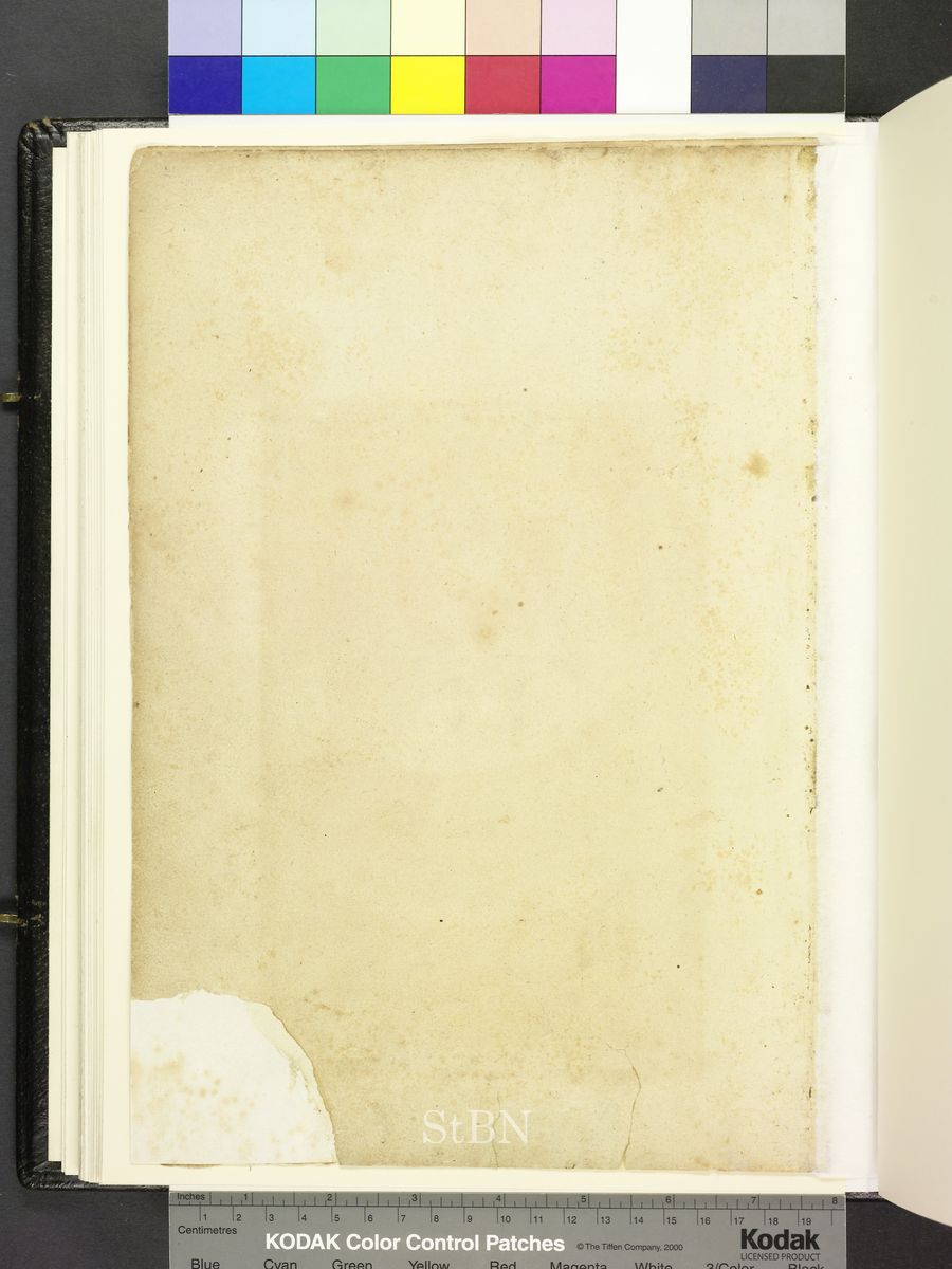 Amb. 317b.2° Folio 239 verso