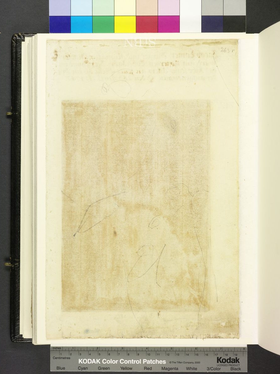 Amb. 317b.2° Folio 263 verso