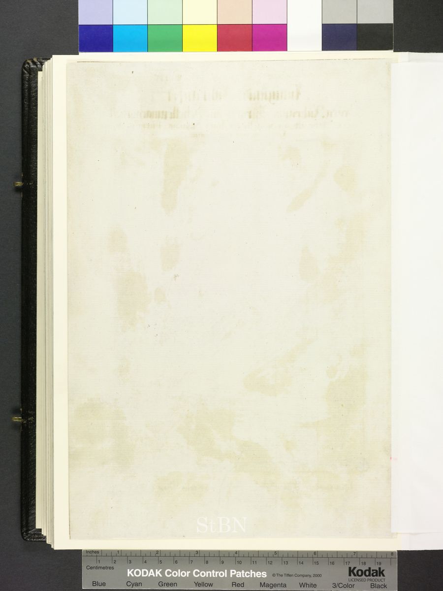 Amb. 317b.2° Folio 291 verso